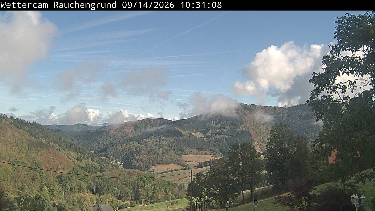 Archiv Foto Webcam Elzach
