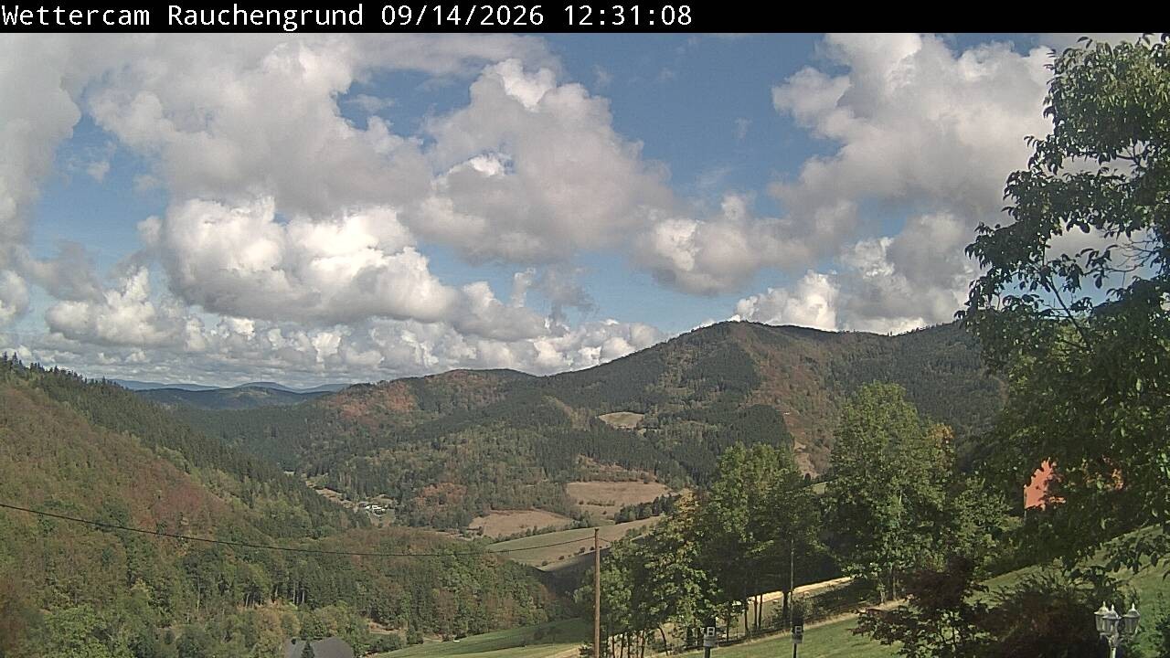 Archiv Foto Webcam Elzach