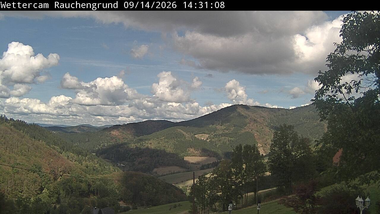 Archiv Foto Webcam Elzach