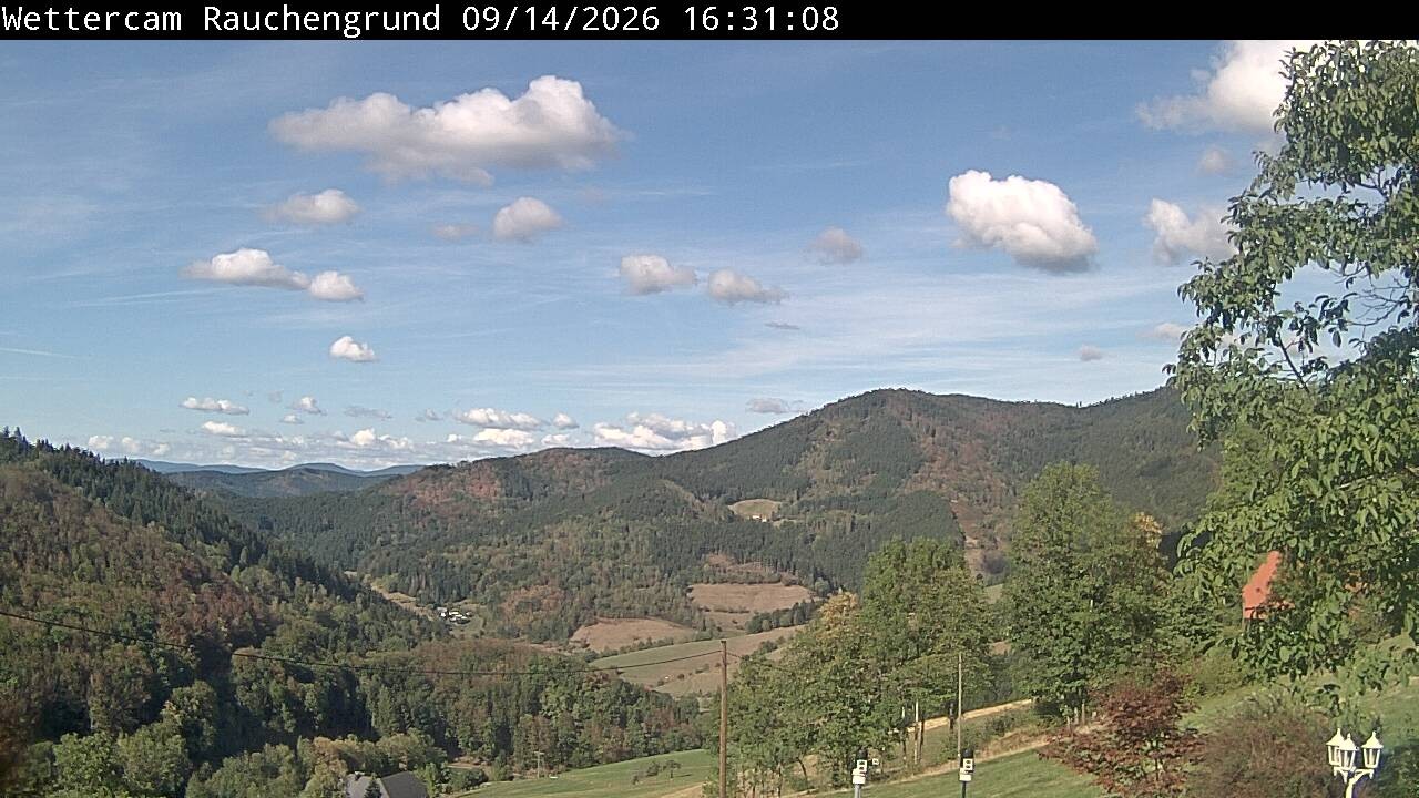 Archiv Foto Webcam Elzach