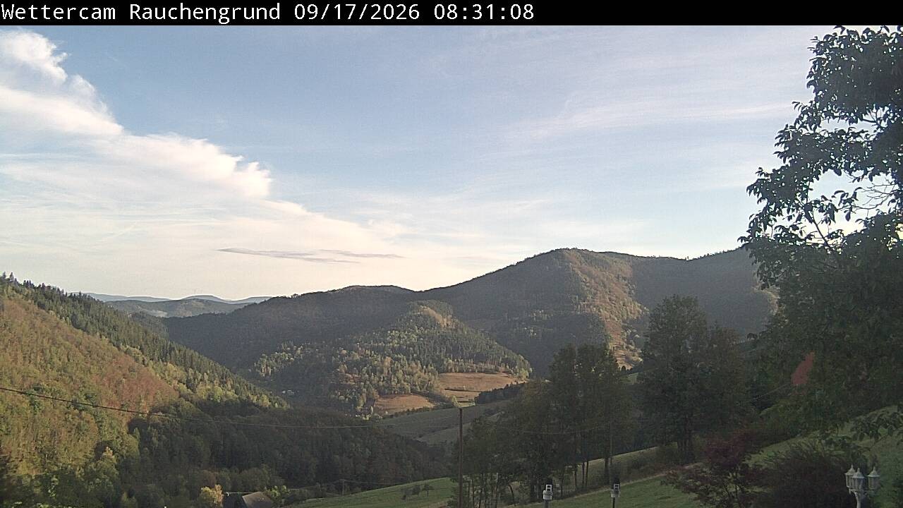Archiv Foto Webcam Elzach