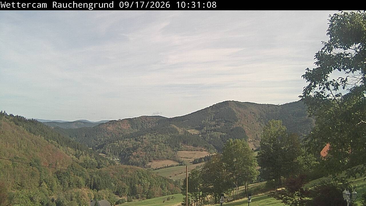 Archiv Foto Webcam Elzach
