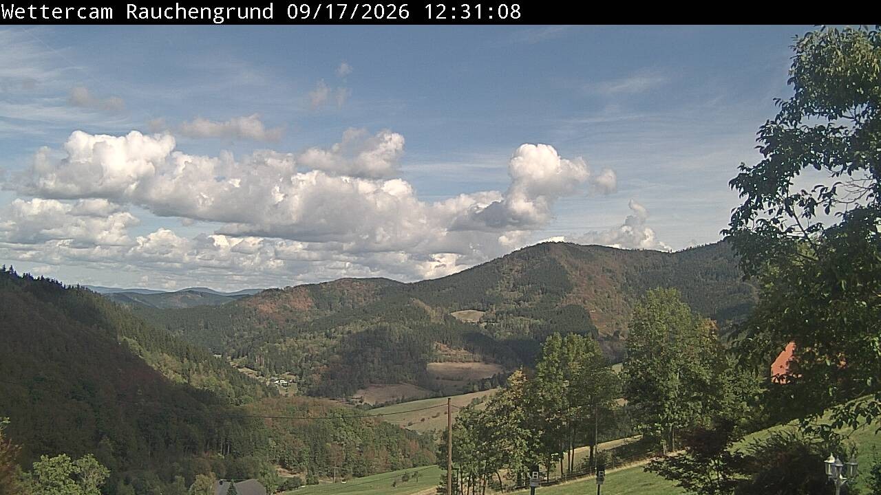 Archiv Foto Webcam Elzach