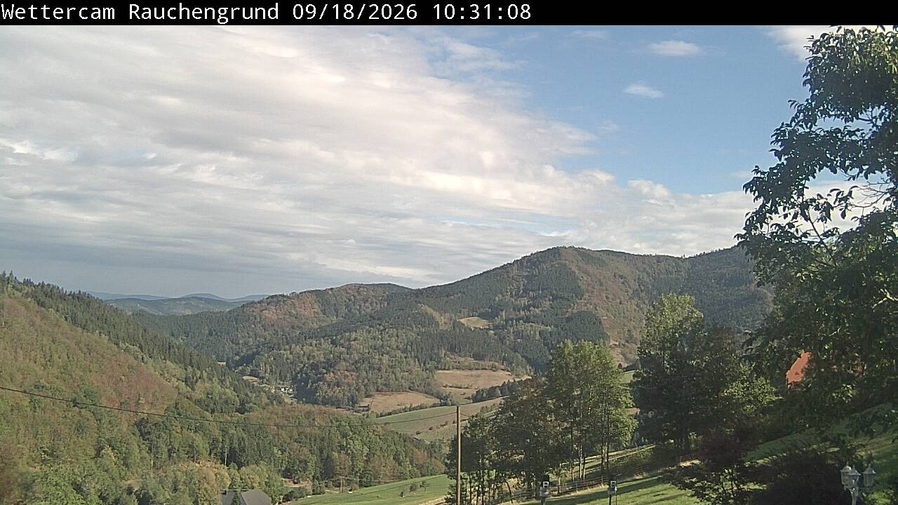 Archived image Webcam "Rauchengrund"
