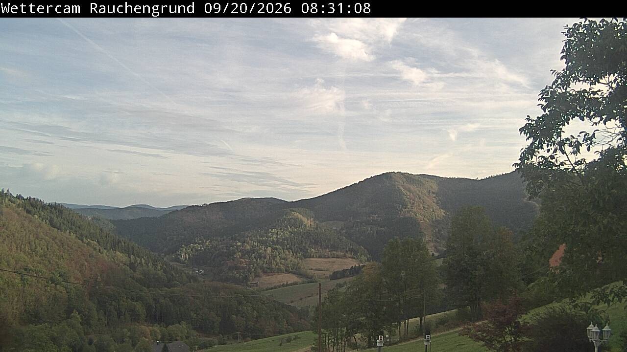 Archiv Foto Webcam Elzach