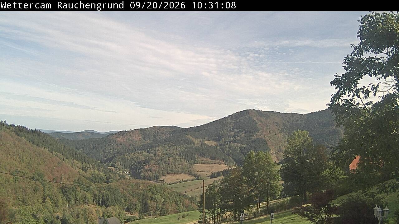 Archiv Foto Webcam Elzach