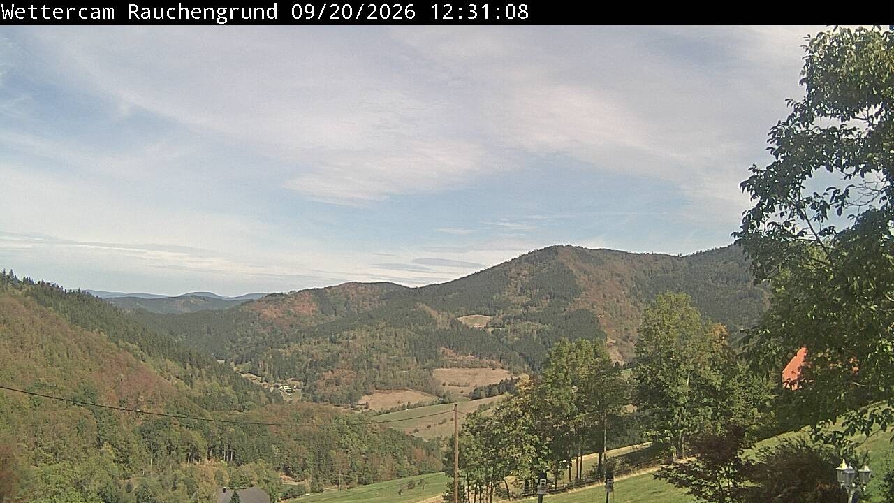 Archiv Foto Webcam Elzach