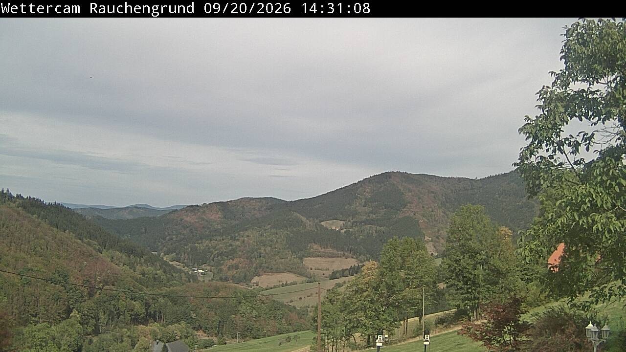 Archiv Foto Webcam Elzach