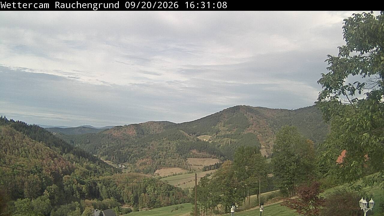 Archiv Foto Webcam Elzach