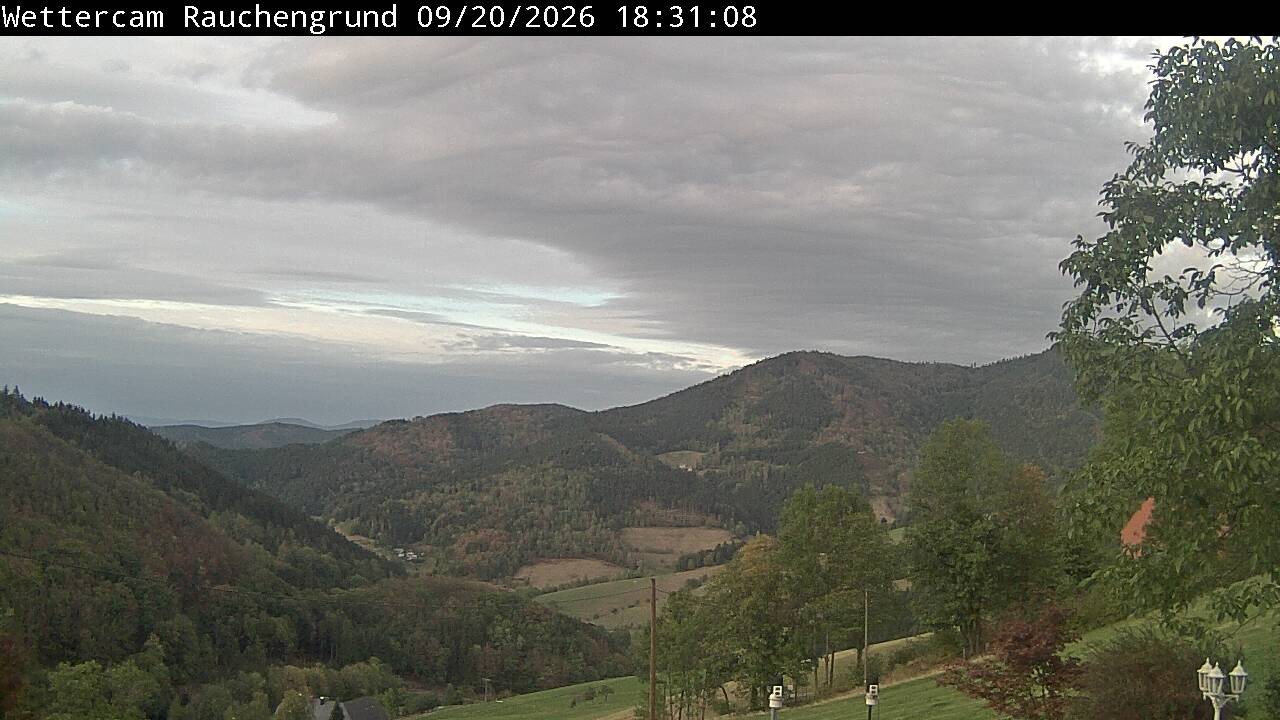 Archiv Foto Webcam Elzach