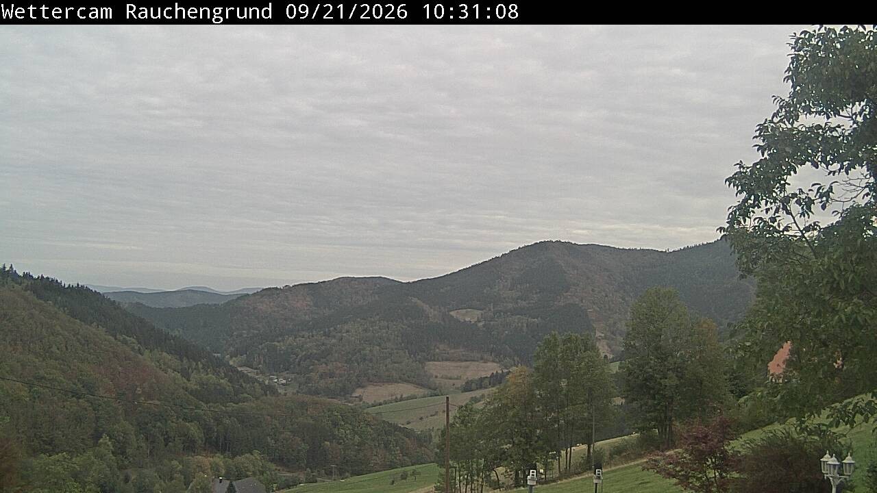 Archiv Foto Webcam Elzach