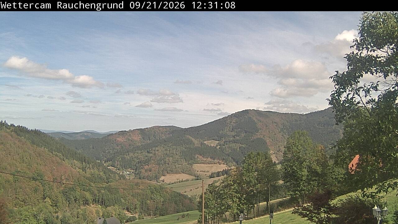 Archiv Foto Webcam Elzach