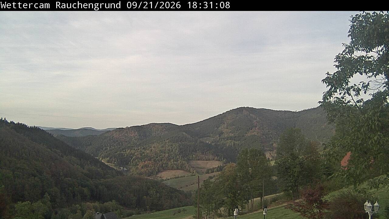 Archiv Foto Webcam Elzach