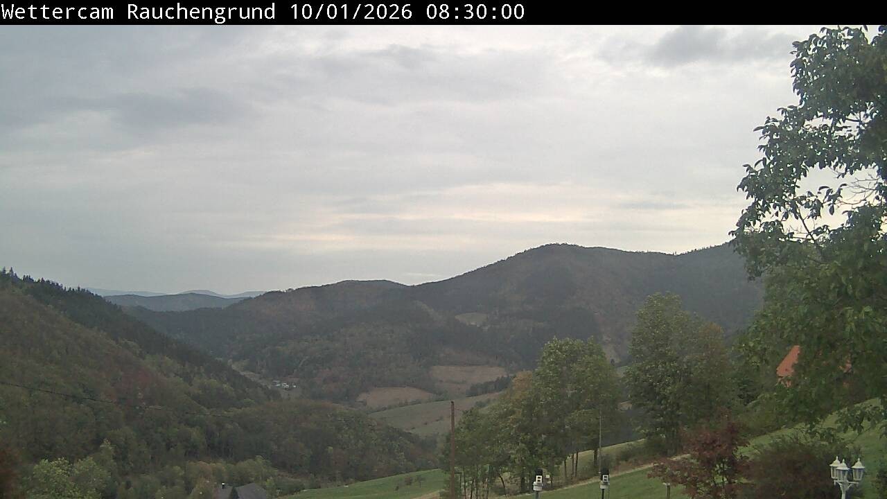 Archived image Webcam "Rauchengrund"