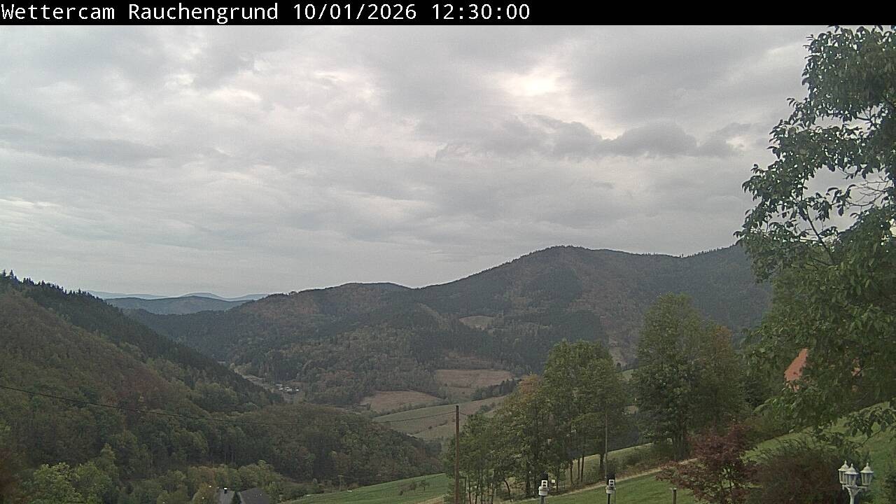 Archived image Webcam "Rauchengrund"