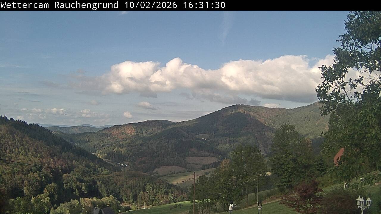 Archived image Webcam "Rauchengrund"
