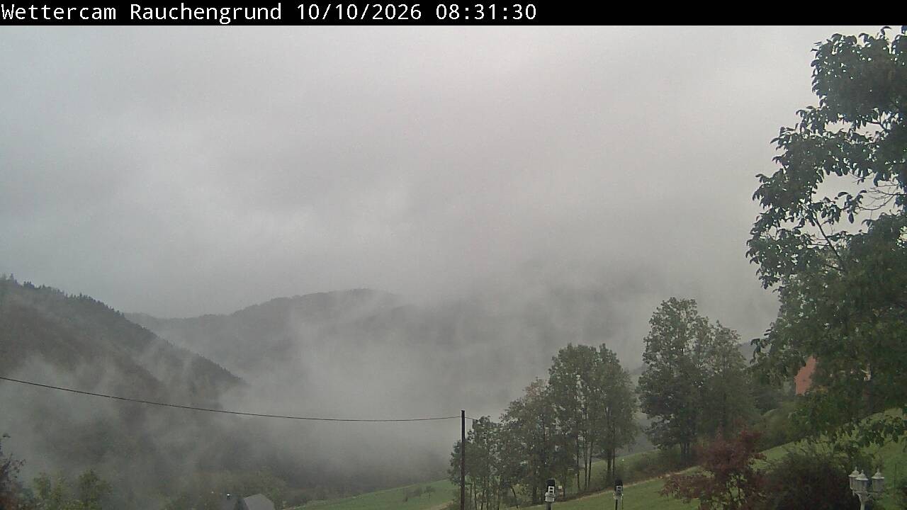 Archiv Foto Webcam Elzach