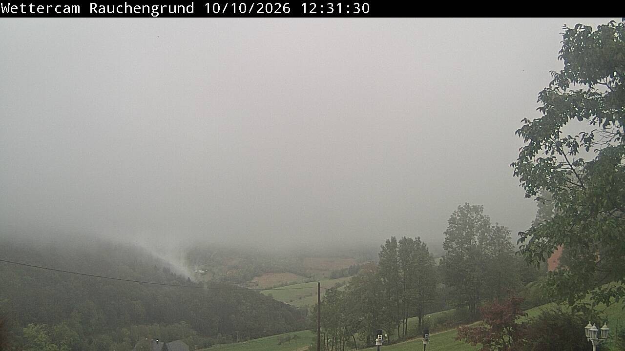Archiv Foto Webcam Elzach