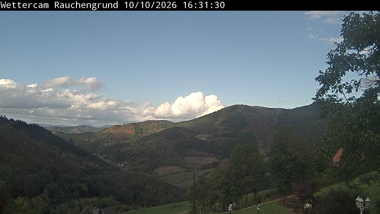 Archiv Foto Webcam Elzach