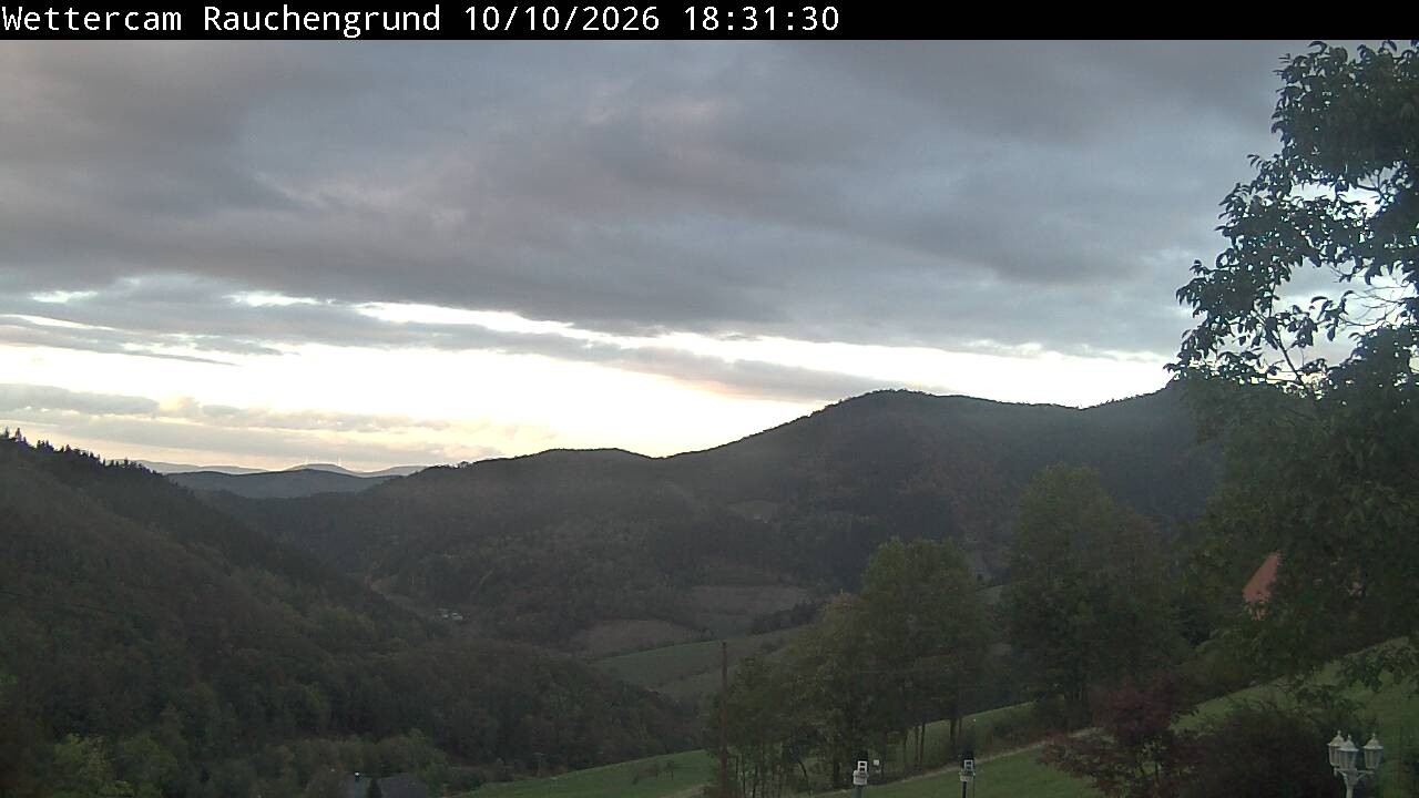 Archiv Foto Webcam Elzach
