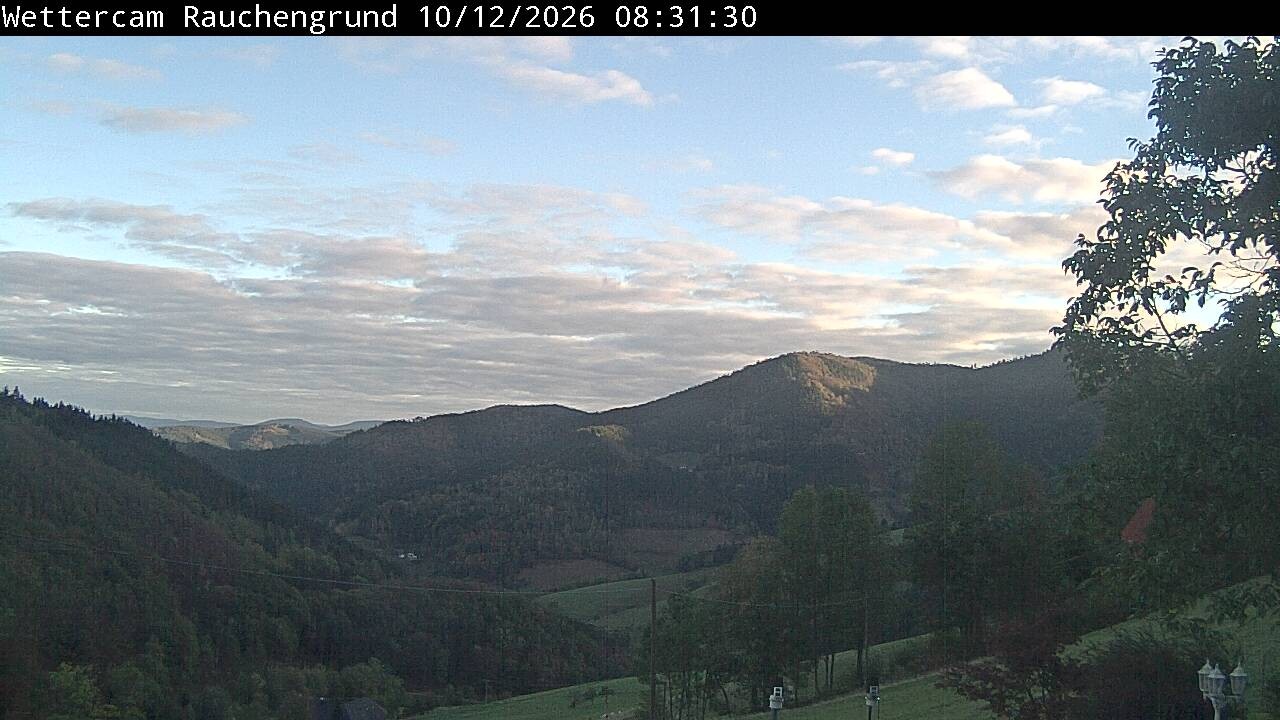 Archived image Webcam "Rauchengrund"