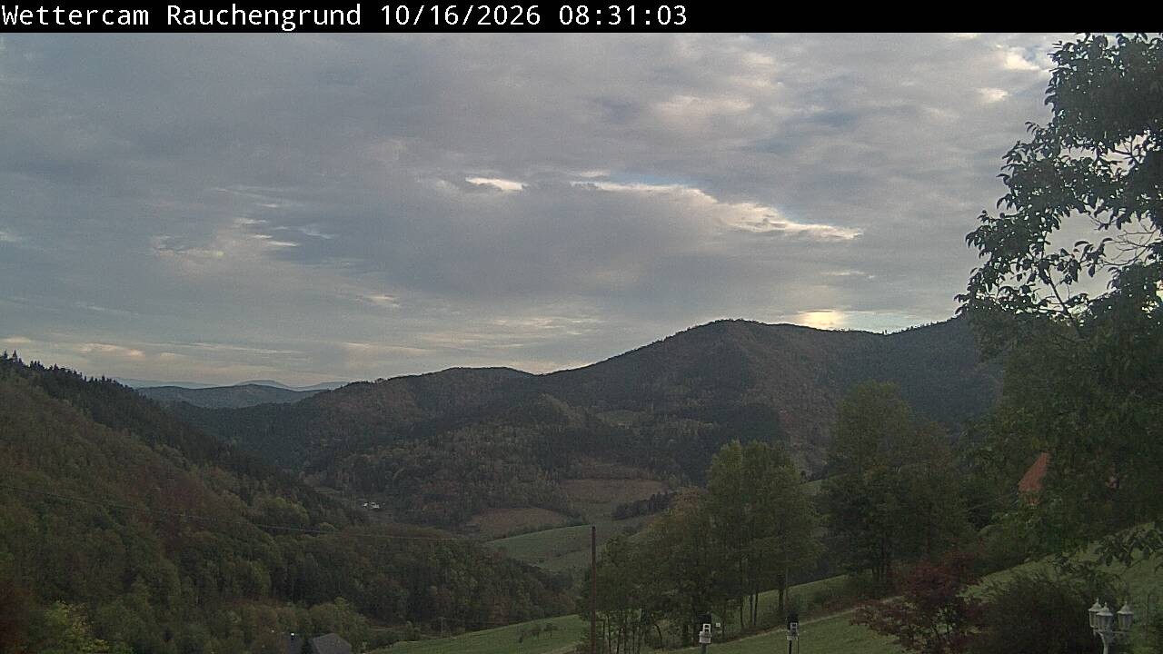 Archived image Webcam "Rauchengrund"