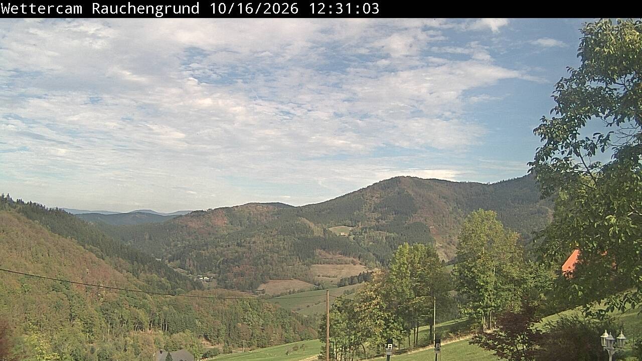 Archived image Webcam "Rauchengrund"