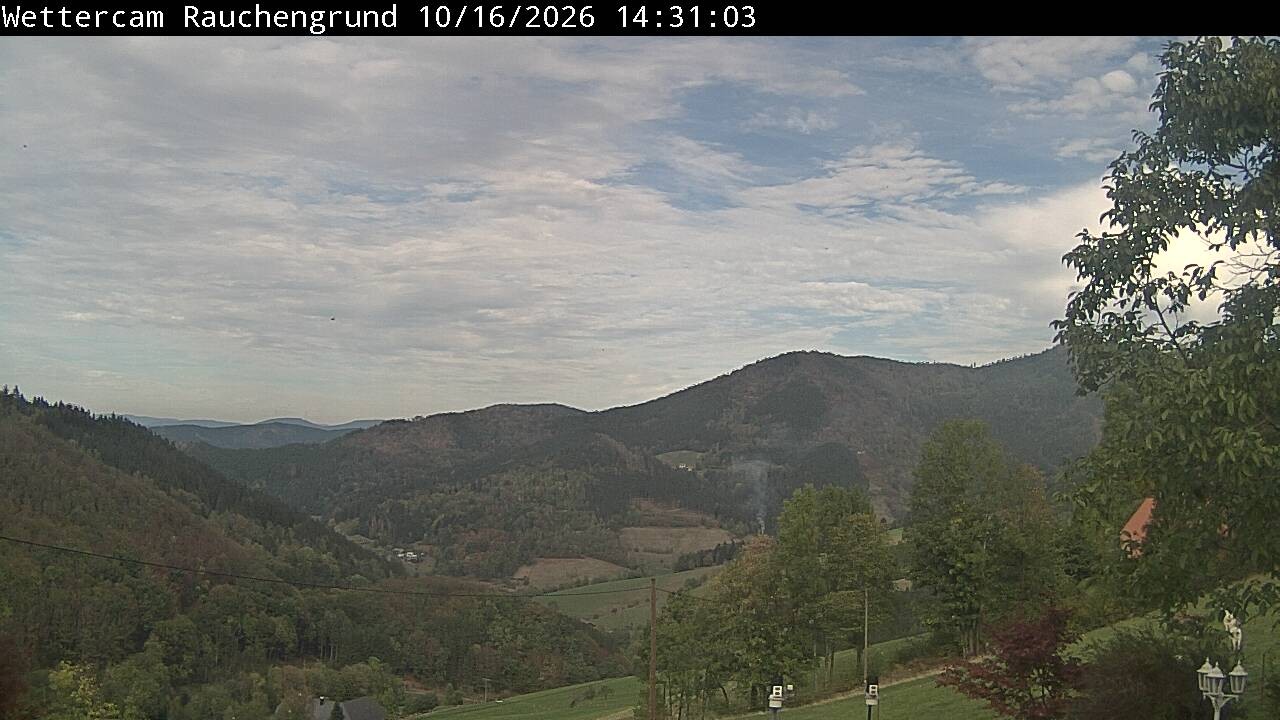 Archived image Webcam "Rauchengrund"