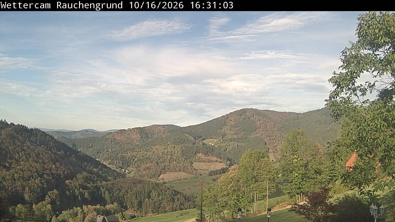 Archived image Webcam "Rauchengrund"