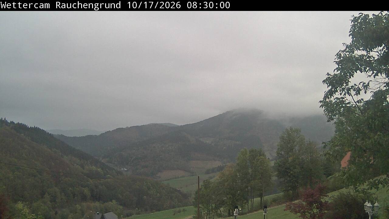 Archiv Foto Webcam Elzach