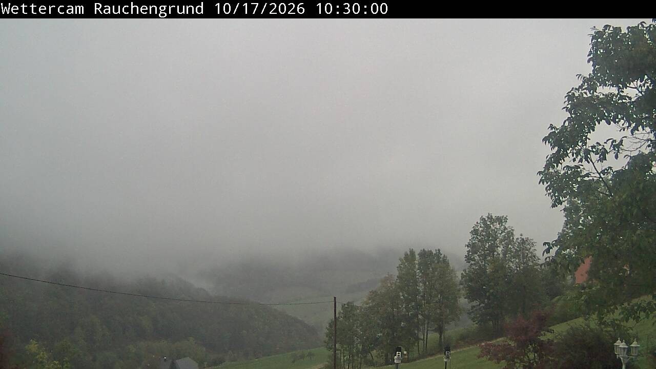 Archiv Foto Webcam Elzach