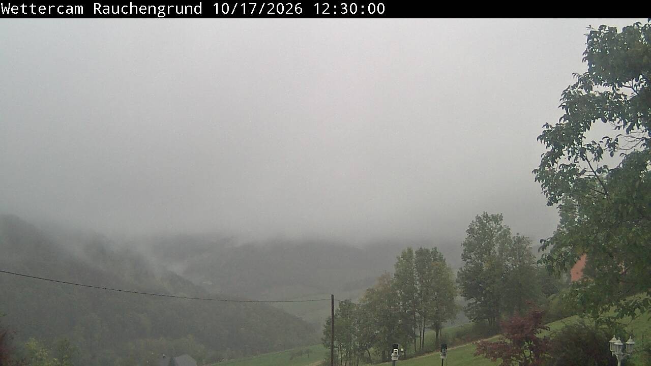 Archiv Foto Webcam Elzach
