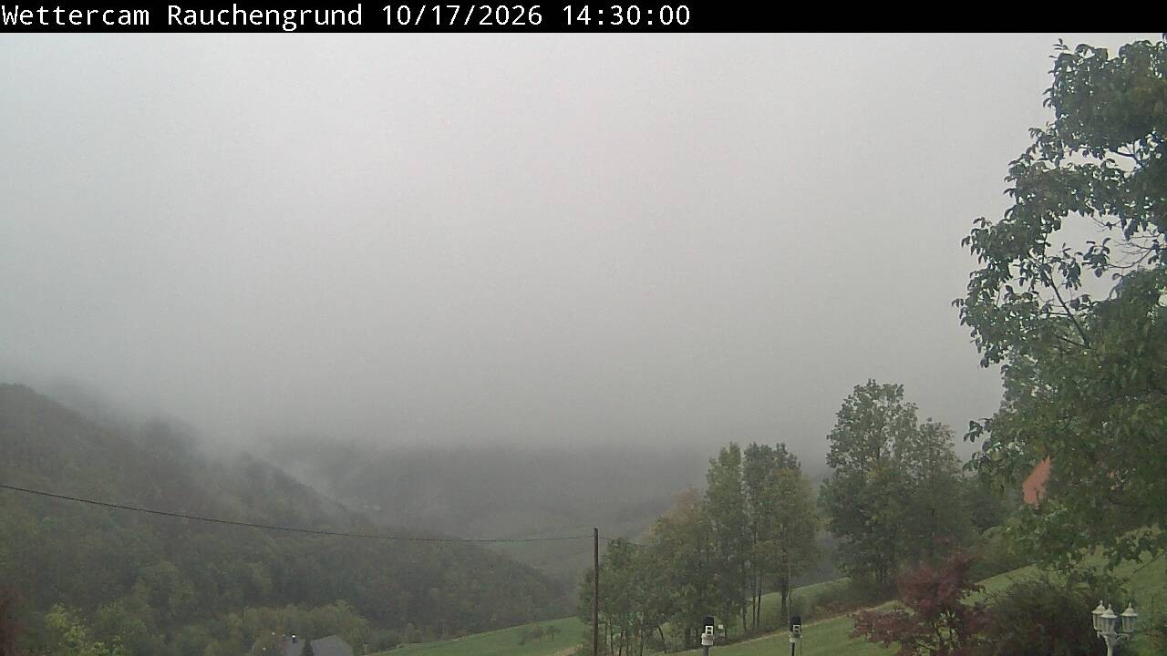Archiv Foto Webcam Elzach