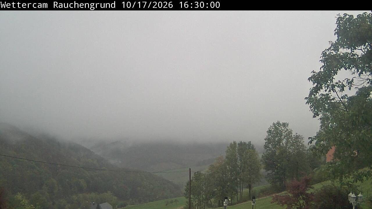 Archiv Foto Webcam Elzach