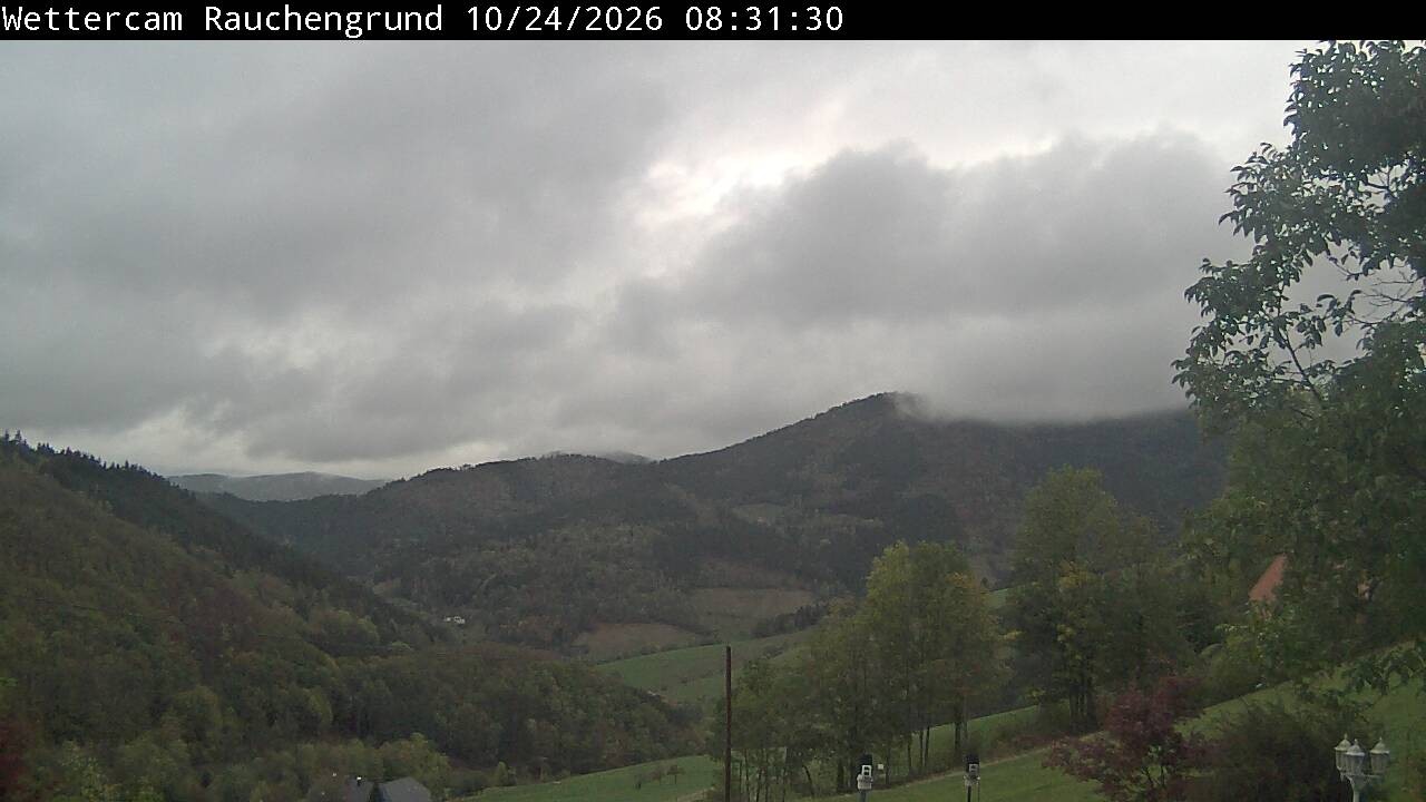 Archived image Webcam "Rauchengrund"