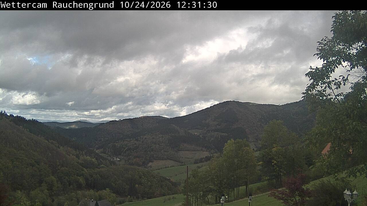 Archived image Webcam "Rauchengrund"