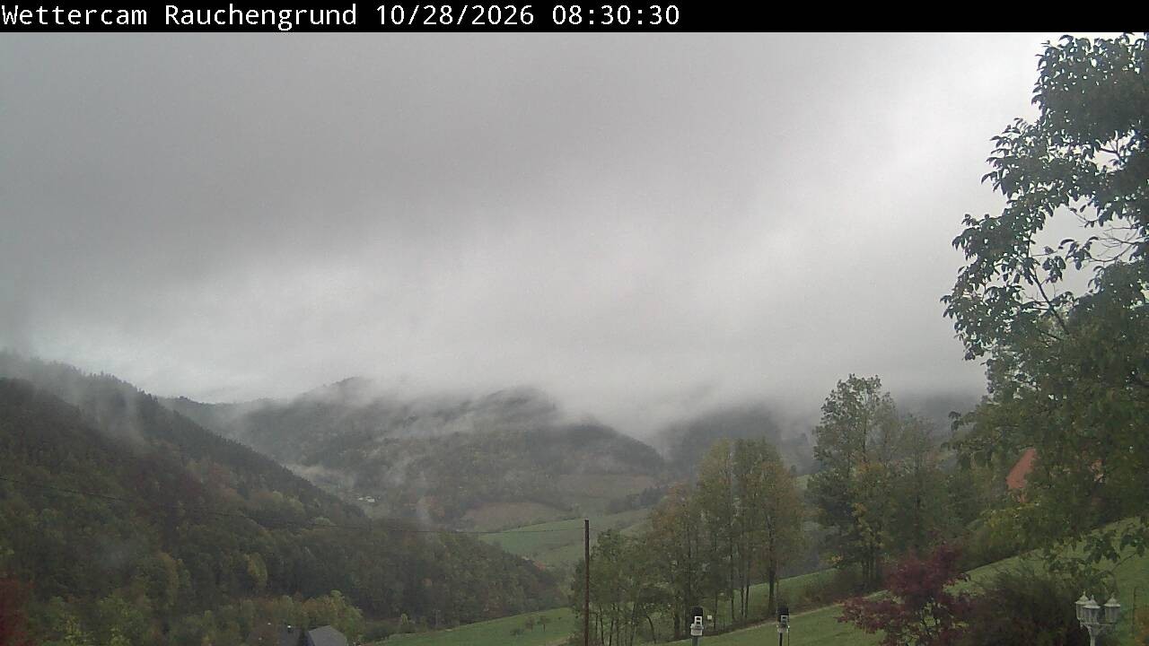 Archiv Foto Webcam Elzach