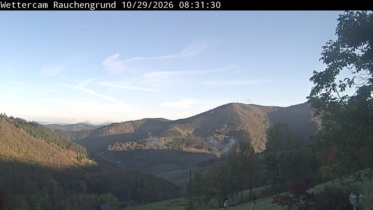 Archiv Foto Webcam Elzach