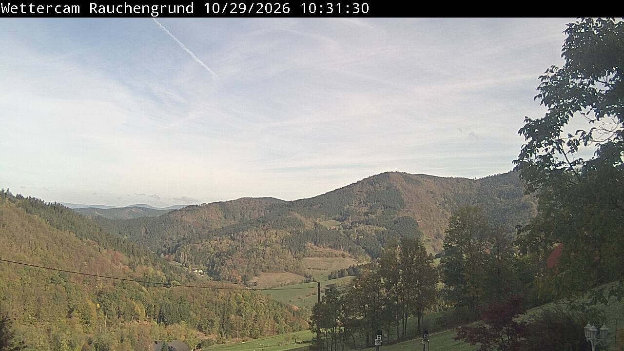 Archiv Foto Webcam Elzach