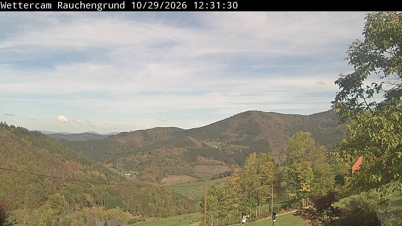 Archiv Foto Webcam Elzach