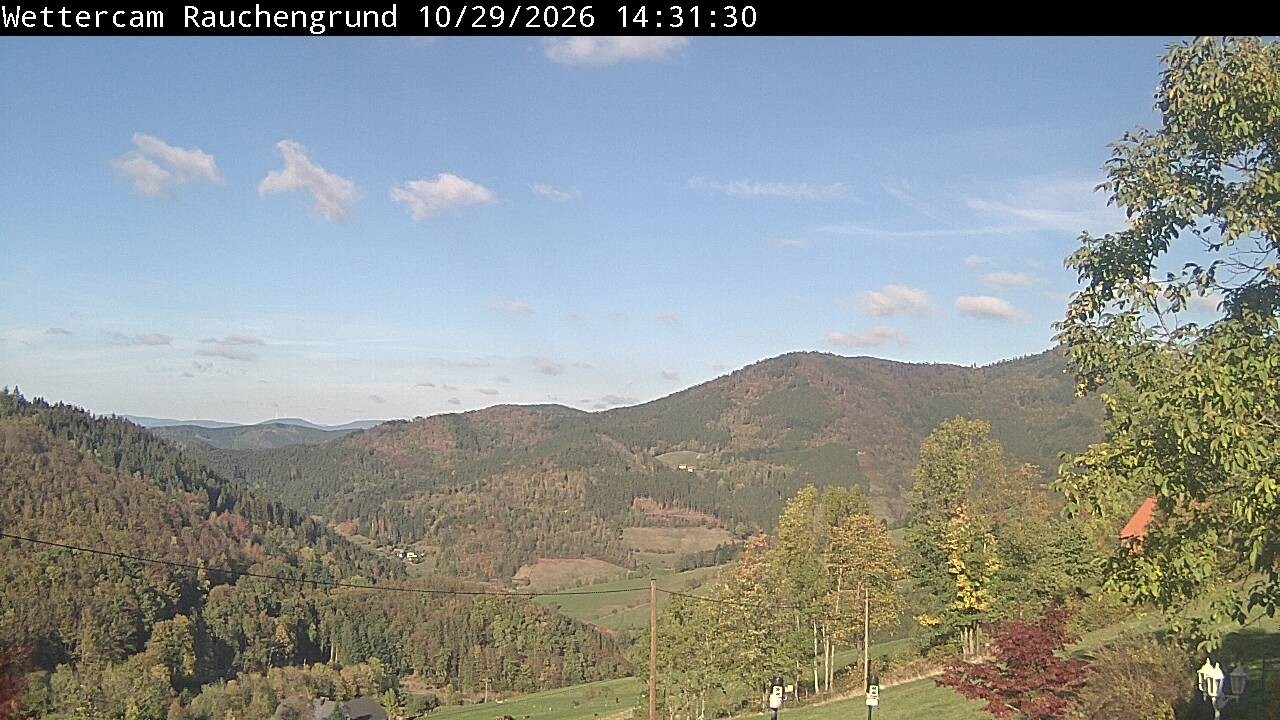 Archiv Foto Webcam Elzach