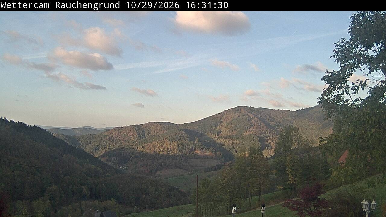 Archiv Foto Webcam Elzach