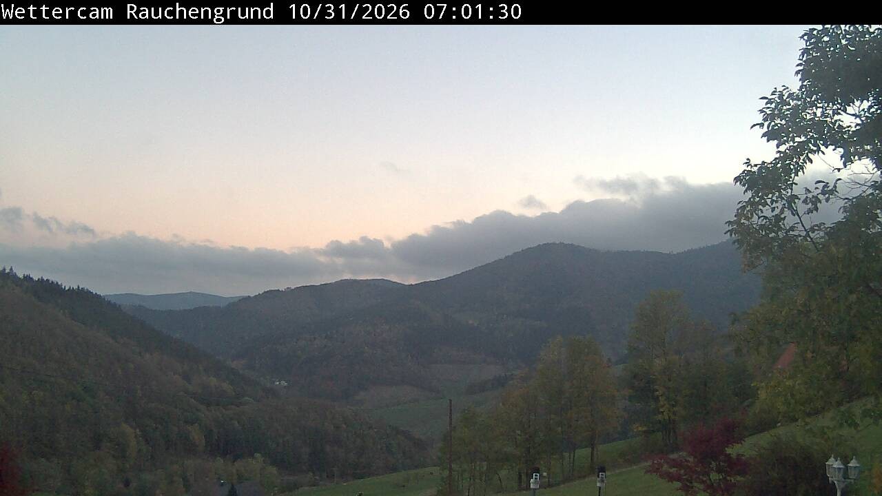 Archiv Foto Webcam Elzach