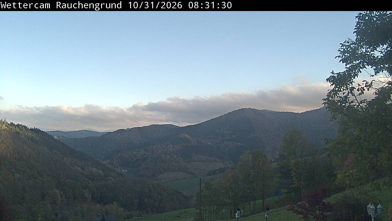 Archiv Foto Webcam Elzach