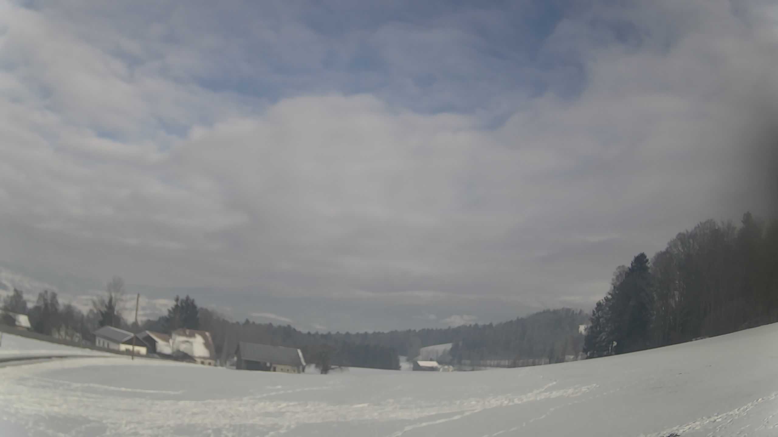 Archiv Foto Webcam Neureichenau