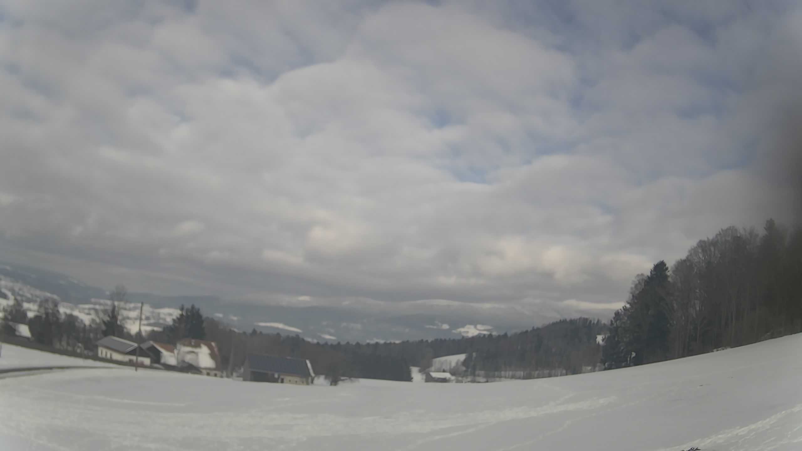 Archiv Foto Webcam Neureichenau