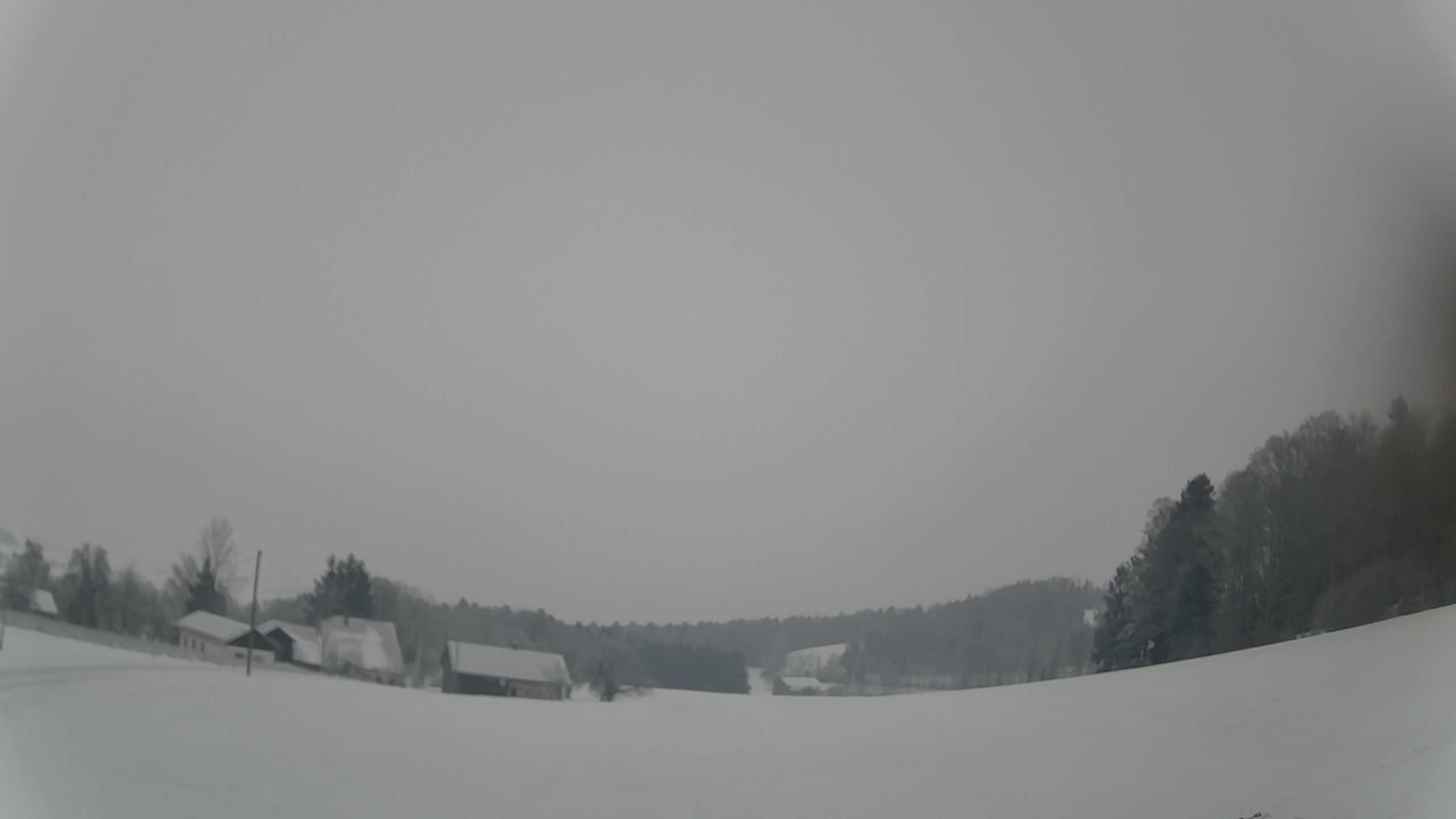Archiv Foto Webcam Neureichenau