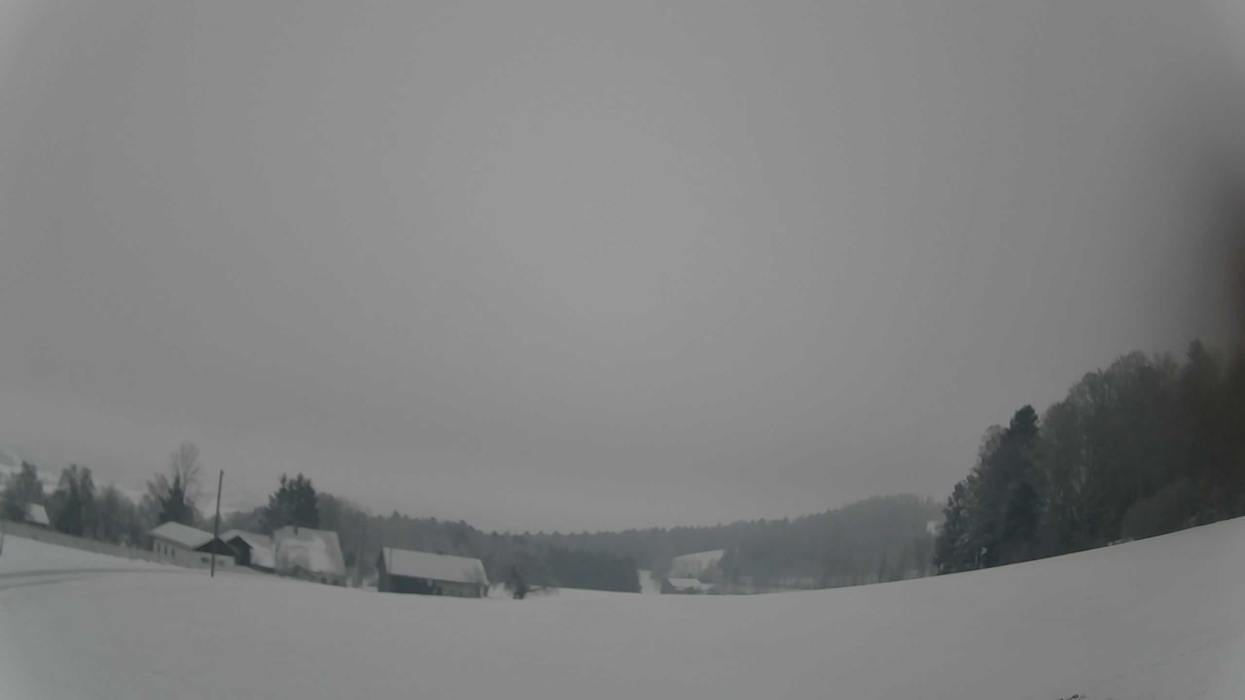 Archiv Foto Webcam Neureichenau