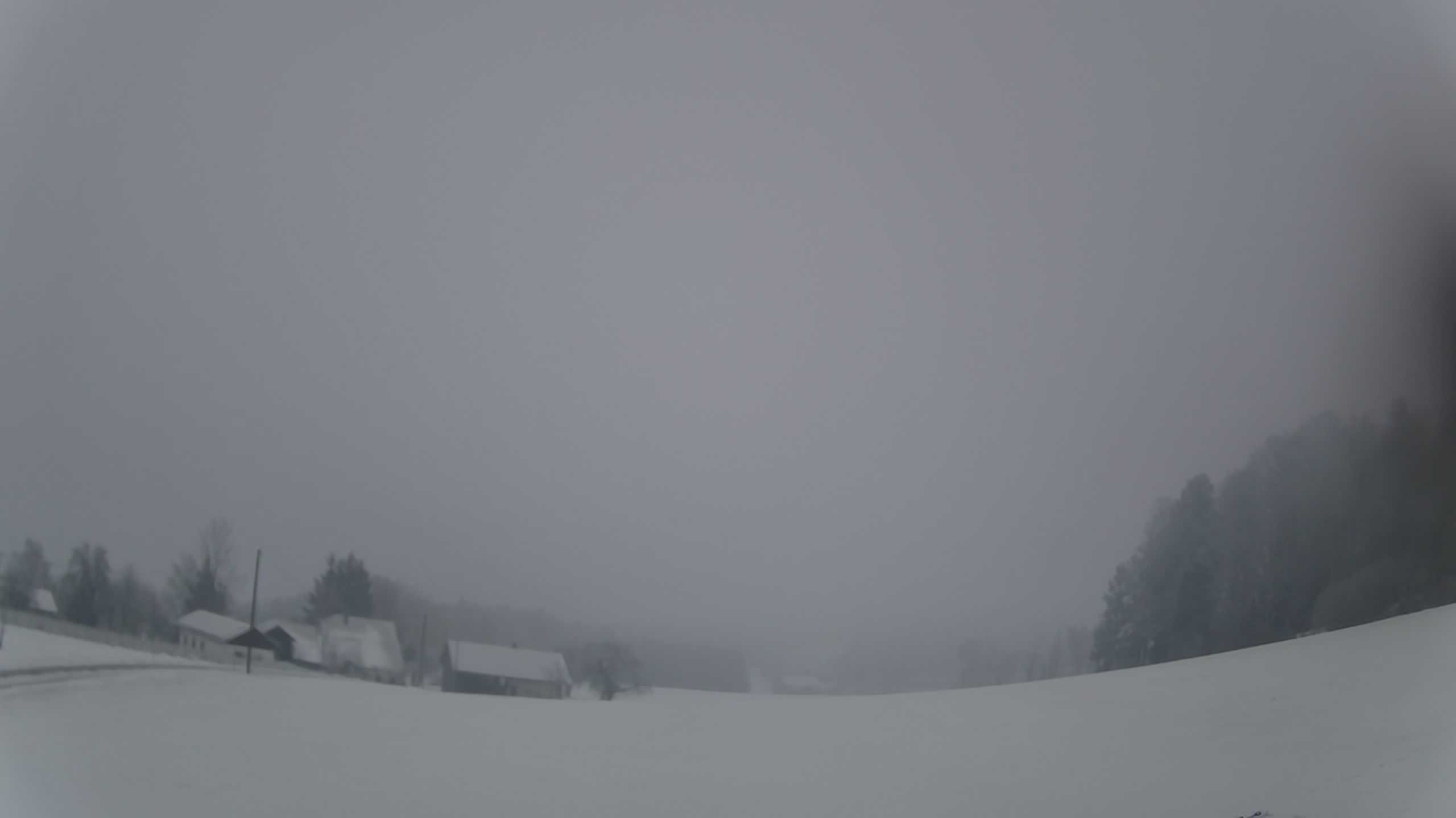Archiv Foto Webcam Neureichenau