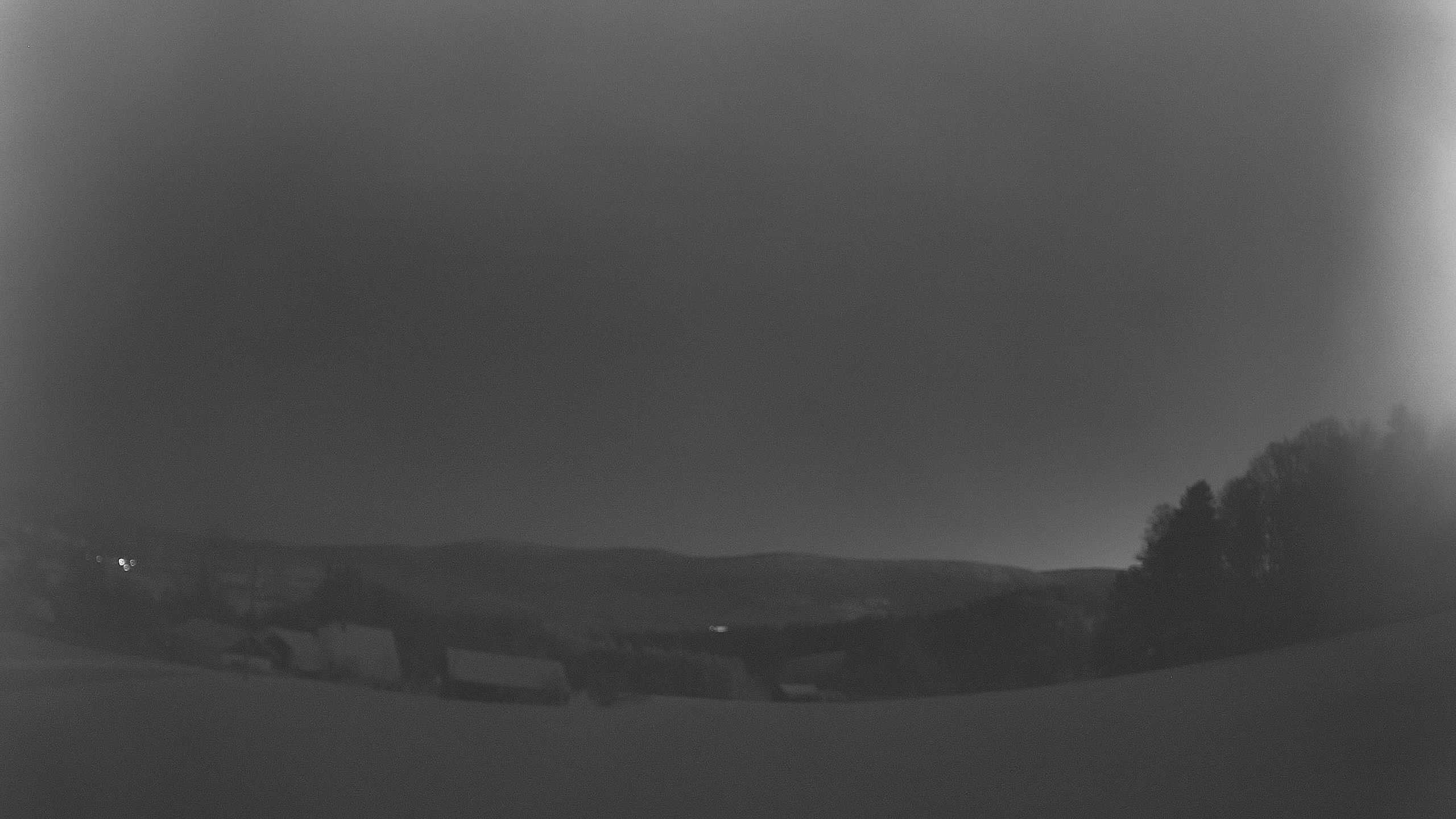 Archiv Foto Webcam Neureichenau